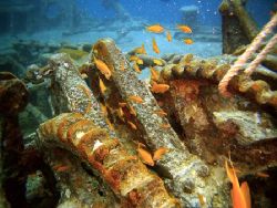Thistlegorm, bow anchor winch. by Dan Ashkenasi 
